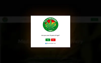 tlcdeliveryinc.com snapshot