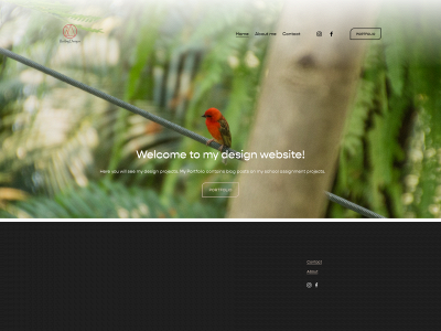 redimgdesigns.com snapshot