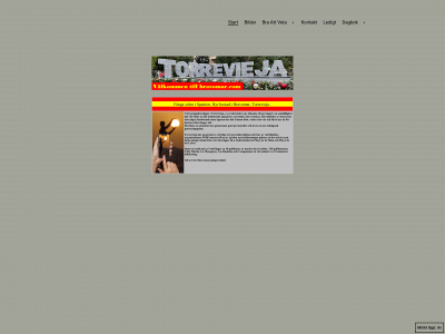bravomar.com snapshot