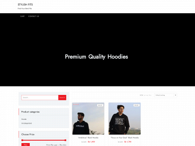 stylishfits.com snapshot