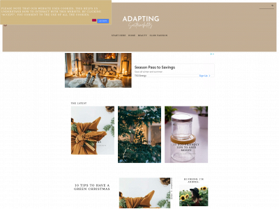 adaptingsustainability.com snapshot