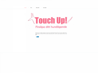 touch-up.se snapshot