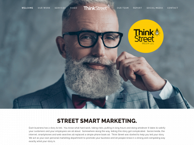 www.thinkstreetmedia.com snapshot