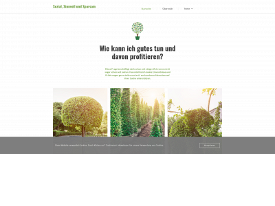 sinnvollsozial.de snapshot