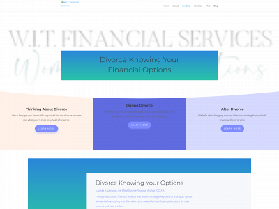 witfinancialservices.com snapshot