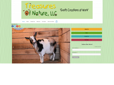 treasures-of-nature.com snapshot