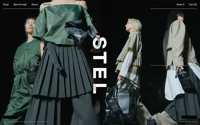 stelstores.com snapshot