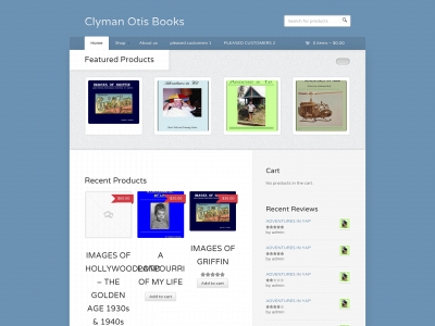 cobooksllc.com snapshot