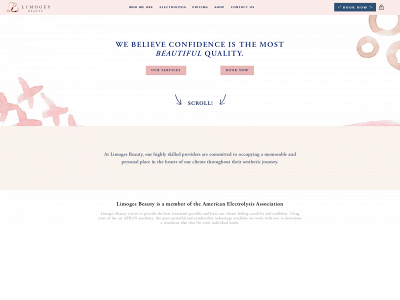 topelectrolysisnyc.com snapshot