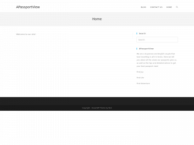apassportview.com snapshot