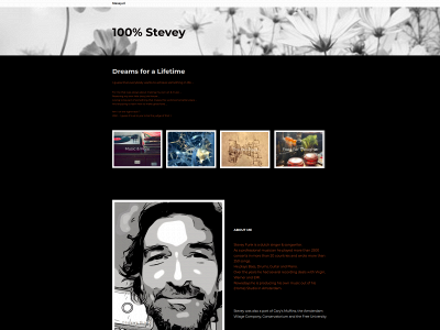 stevey.nl snapshot