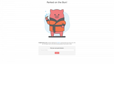 brightactions.com snapshot