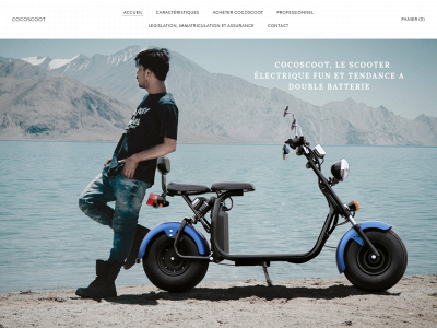 www.cocoscoot.fr snapshot