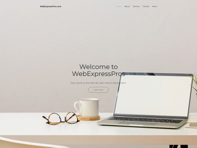 webexpresspros.com snapshot