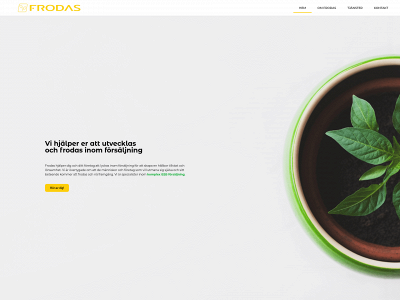 frodaskonsult.se snapshot