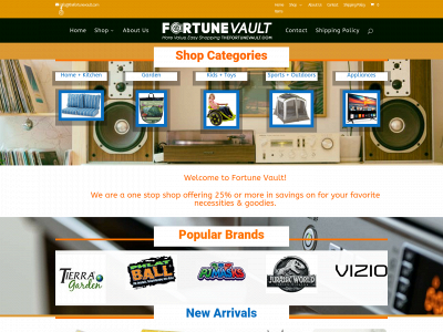 thefortunevault.com snapshot