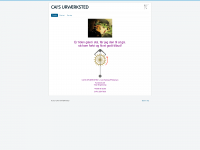 caisure.dk snapshot