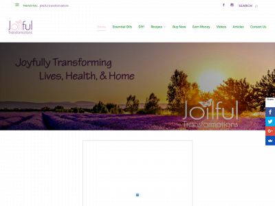 joilfultransformations.com snapshot