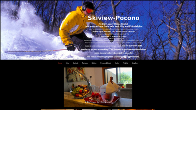skiview-pocono.com snapshot