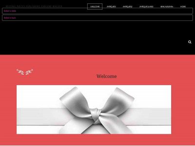 www.missingpiecespublishing.com snapshot