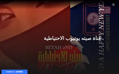 setah503.weebly.com snapshot