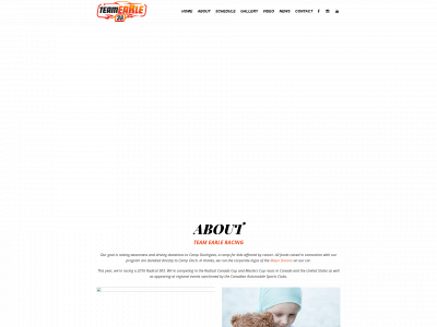 teamearle.com snapshot