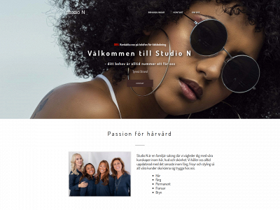 studionikki.se snapshot