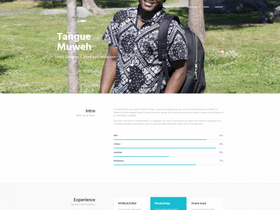 tanchoke.online snapshot