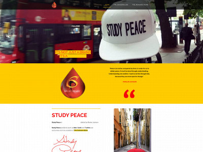 studypeace.net snapshot