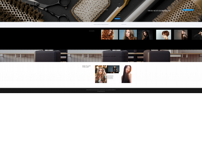 hairdesignsbybrendacortes.com snapshot
