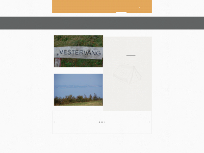 vestervangdejret.dk snapshot