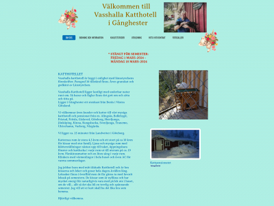 stallvasshalla.se snapshot