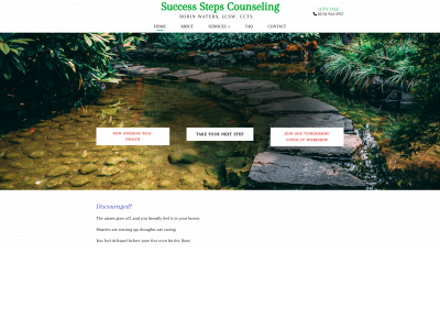 successstepscounseling.com snapshot