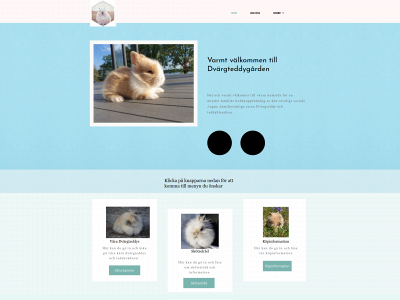 dvaergteddygaarden.se snapshot