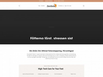 zennsole.com snapshot