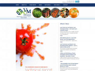 vcm-international.com snapshot