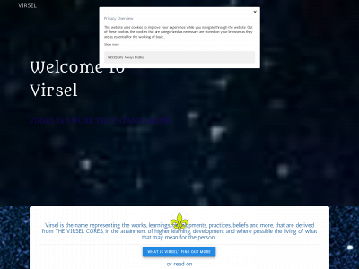 www.virsel.com snapshot