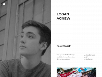 loganagnew.weebly.com snapshot