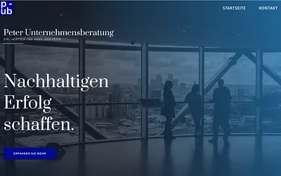 peter-unternehmensberatung.de snapshot