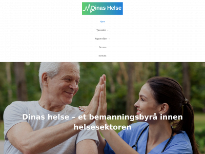 dinashelse.no snapshot