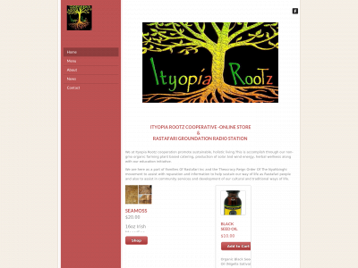 ityopiarootz.com snapshot