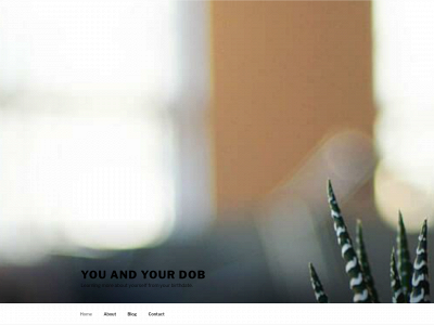 youandyourdob.com snapshot