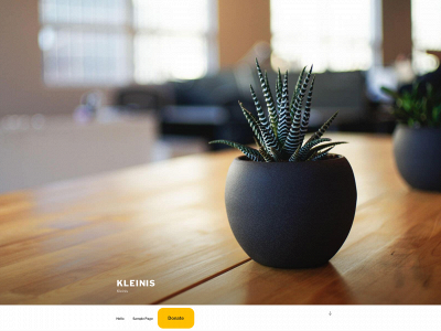 kleinis.net snapshot