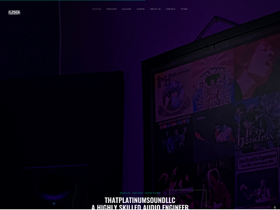 thatplatinumsoundllc.com snapshot