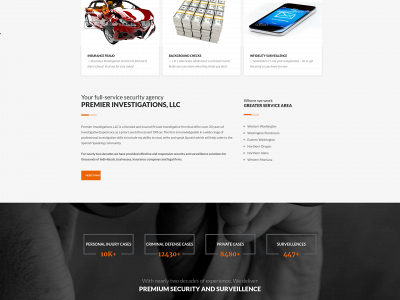 premierdetective.com snapshot