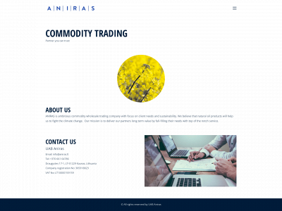 aniras.lt snapshot