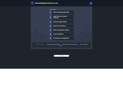 shinedelightsolutions.com snapshot