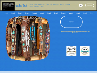 www.inspiredturquoisetack.com snapshot