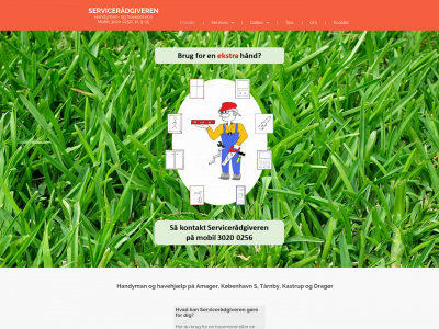 serviceraadgiveren.dk snapshot