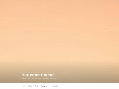 theprofitniche.com snapshot